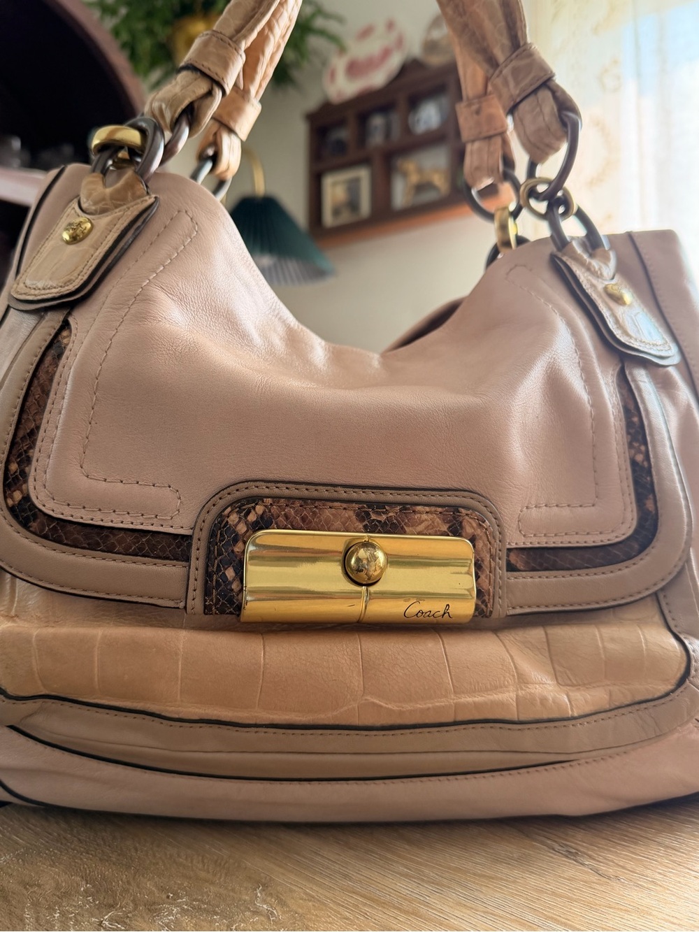 Coach Rare 2010 Coach Kristin Spectator Mixed Leather Exotic Satchel Bag #16810